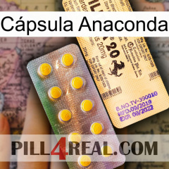 Cápsula Anaconda new06